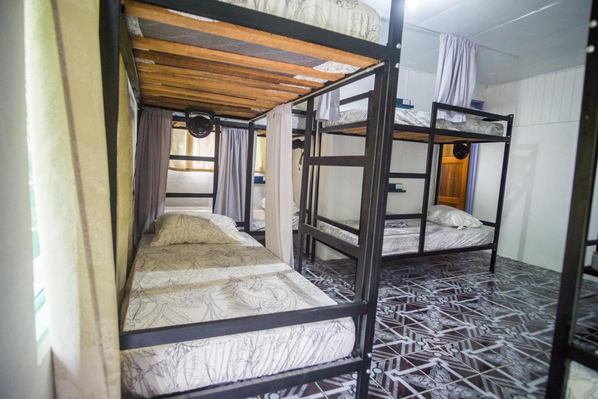 Pura Vibra Hostel La Fortuna الغرفة الصورة